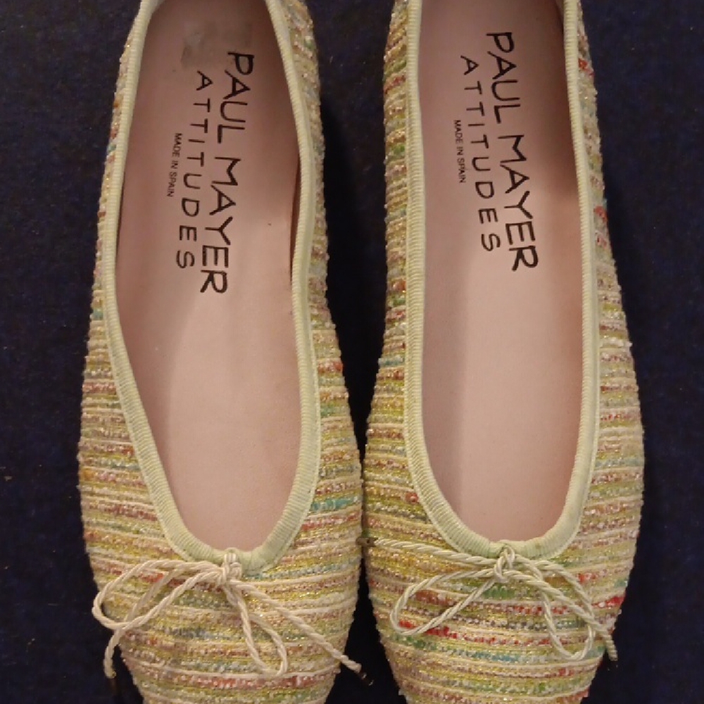 Paul Mayer Attitudes Ballet Flats